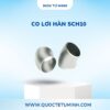Co Lơi Hàn SCH10